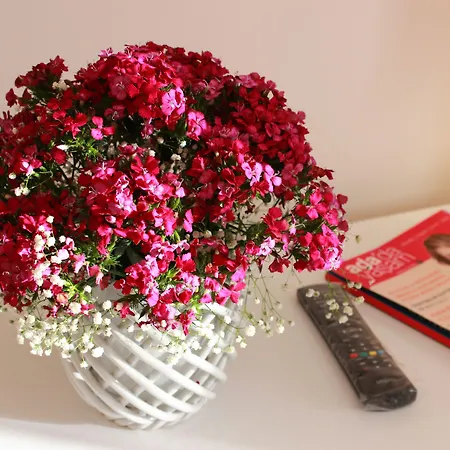 מלון Imerhan קוסדסי