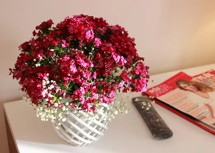 호텔 Imerhan 쿠사다시